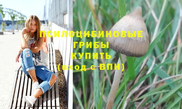 тгк Абдулино