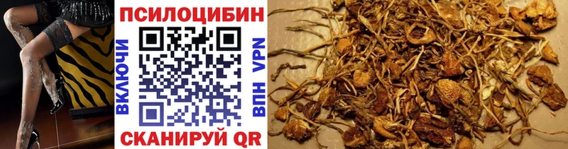 купить наркотик  Ачхой-Мартан  Псилоцибиновые грибы прущие грибы 